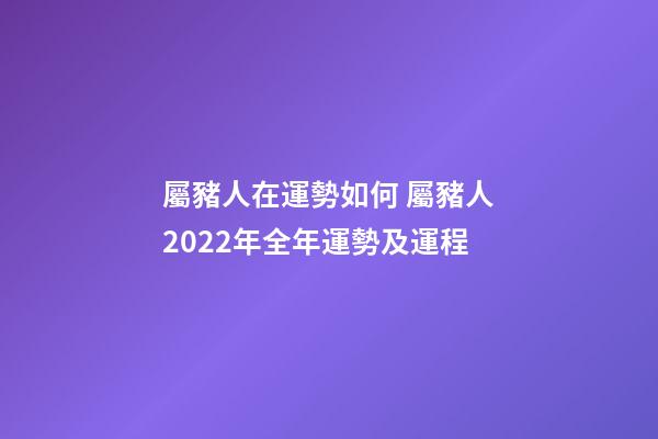 屬豬人在運勢如何 屬豬人2022年全年運勢及運程